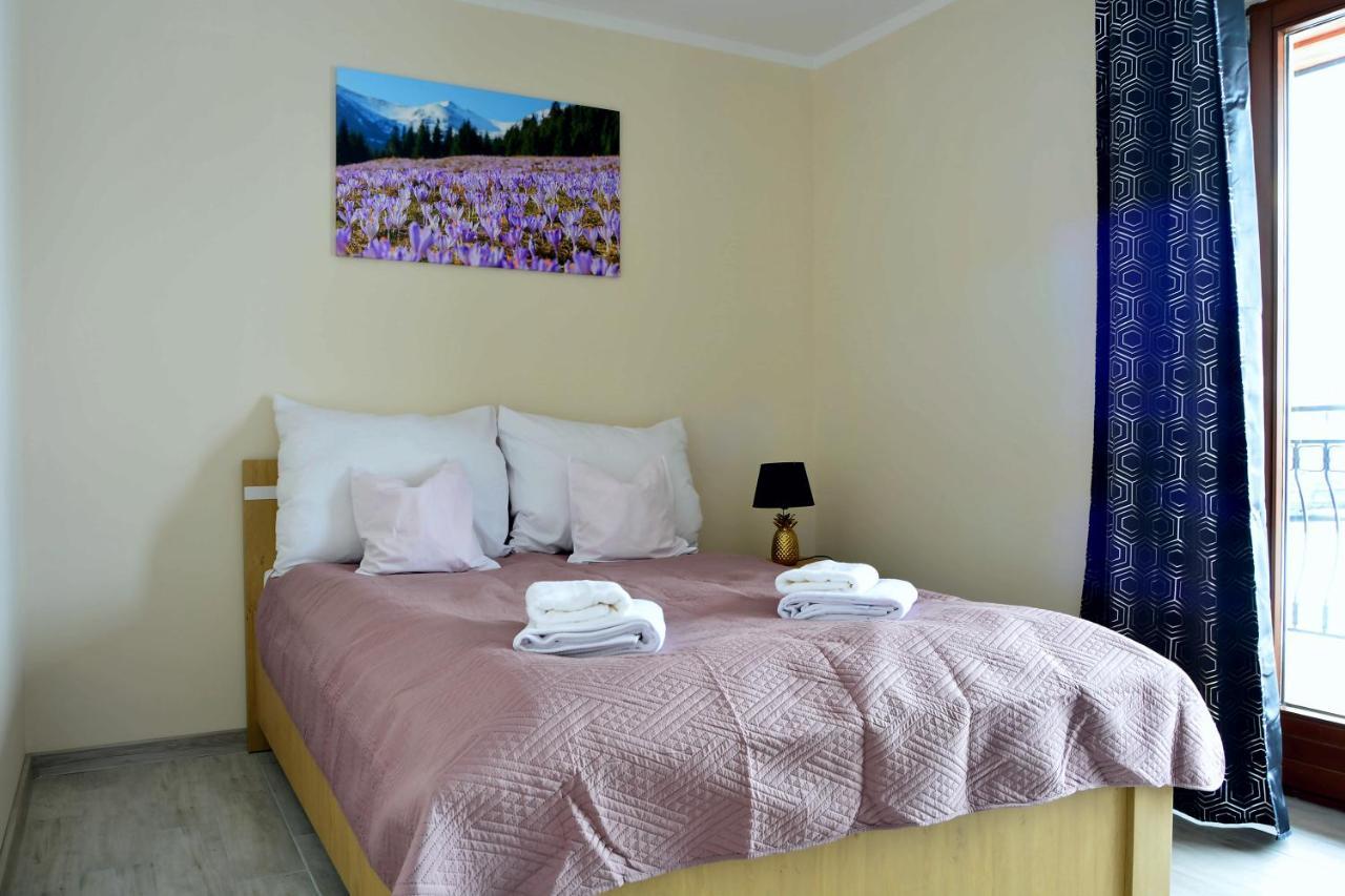 Apartamenty Kasprowy 扎科帕内 外观 照片