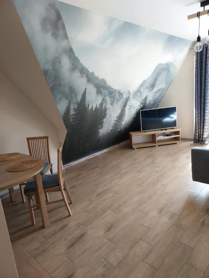 Apartamenty Kasprowy 扎科帕内 外观 照片